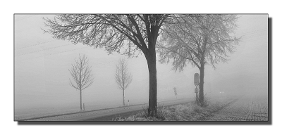 Nebel-10