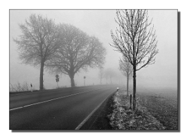 Nebel-2