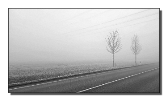 Nebel-4