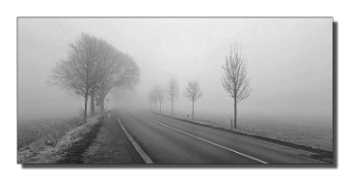 Nebel-8